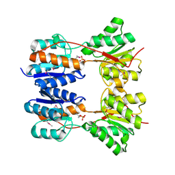 BU of 3dbi by Molmil