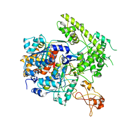 BU of 3dbl by Molmil