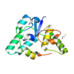 BU of 3dbo by Molmil