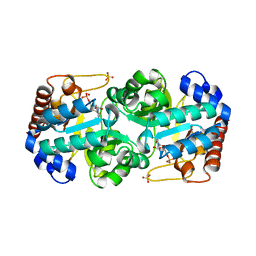 BU of 3dbp by Molmil