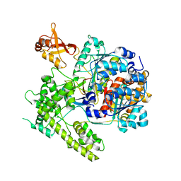 BU of 3dbr by Molmil