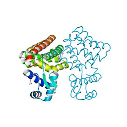 AU of 3dbw by Molmil