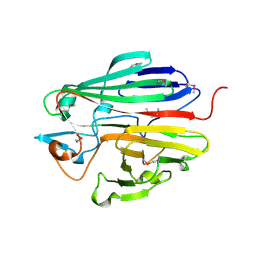 BU of 3dcd by Molmil