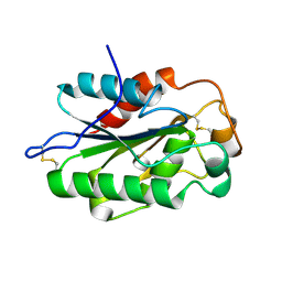 BU of 3dcn by Molmil