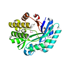 BU of 3dcp by Molmil