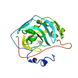 BU of 3dcw by Molmil