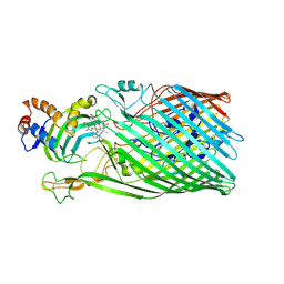 BU of 3ddr by Molmil