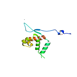 AU of 3dfd by Molmil