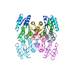 AU of 3dii by Molmil