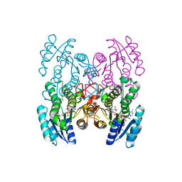 AU of 3dij by Molmil