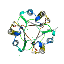 BU of 3dji by Molmil