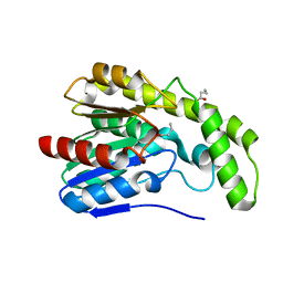 BU of 3dlt by Molmil