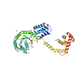 BU of 3dm5 by Molmil