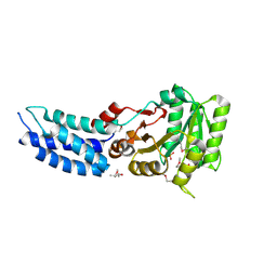 BU of 3dm9 by Molmil