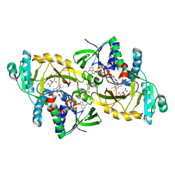 BU of 3dme by Molmil