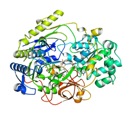 BU of 3dmr by Molmil