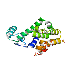 BU of 3dn6 by Molmil