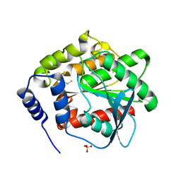 BU of 3dnm by Molmil