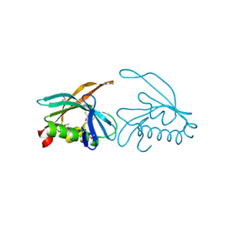 BU of 3dns by Molmil