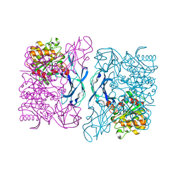 BU of 3doi by Molmil