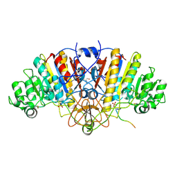 BU of 3dpc by Molmil