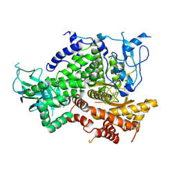 BU of 3dpd by Molmil