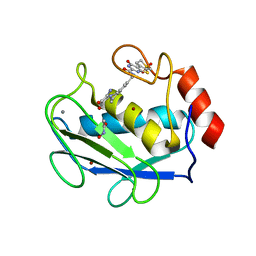 BU of 3dpf by Molmil