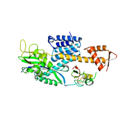 BU of 3dpl by Molmil