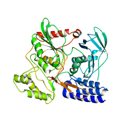 BU of 3dpn by Molmil