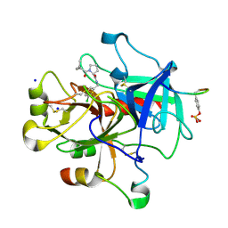 BU of 3dt0 by Molmil