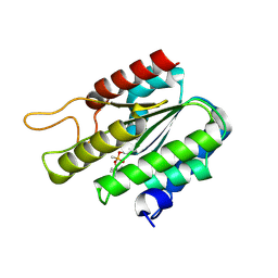 BU of 3dt9 by Molmil