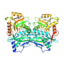 BU of 3dtg by Molmil