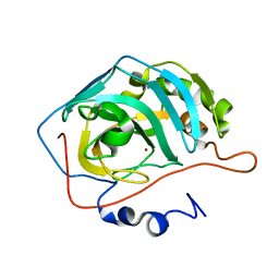 BU of 3dvc by Molmil