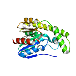 BU of 3dyv by Molmil