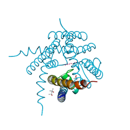 BU of 3e8b by Molmil