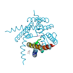 BU of 3e8h by Molmil