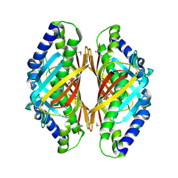 BU of 3e8p by Molmil