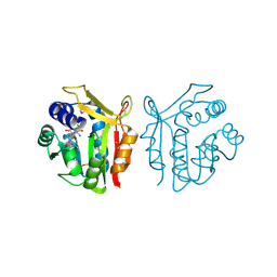 BU of 3e8s by Molmil