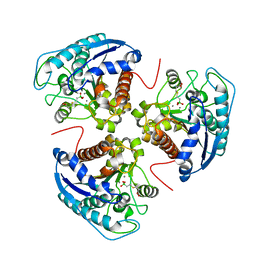 BU of 3e9b by Molmil