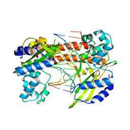 BU of 3ebc by Molmil