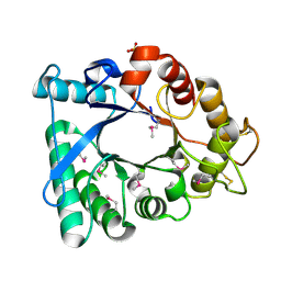 BU of 3ebv by Molmil