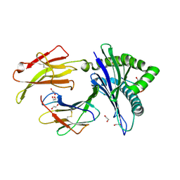 BU of 3ecb by Molmil