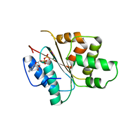 BU of 3ecc by Molmil