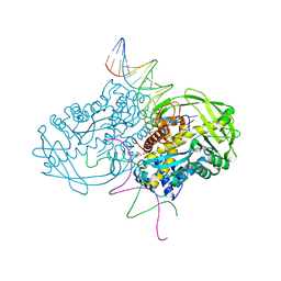 BU of 3ecp by Molmil