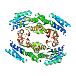 BU of 3edm by Molmil