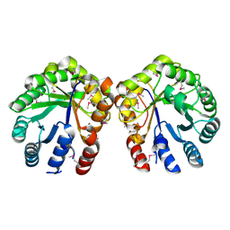 BU of 3eeg by Molmil