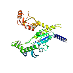 BU of 3ef1 by Molmil