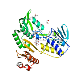 BU of 3ef6 by Molmil