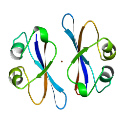 BU of 3eip by Molmil