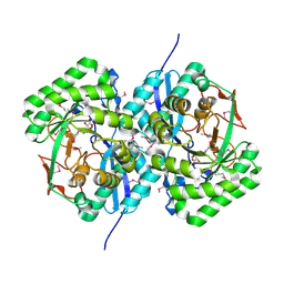 BU of 3ekg by Molmil